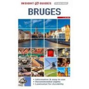 Brugge Fleximap Insight