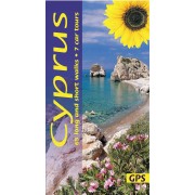 Cyprus Sunflower