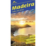 Madeira Sunflower