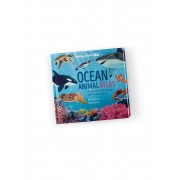 Ocean Animal Atlas Lonely Planet Kids