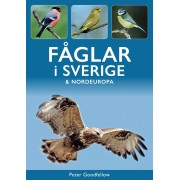 Fåglar i Sverige & Nordeuropa