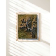 Sylarna natur 40x50cm Mapbits