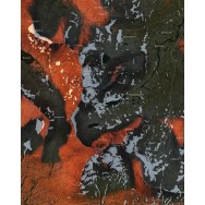 Sylarna natur 40x50cm Mapbits