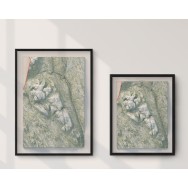 Transtrandsfjällen väggkarta Mapbits