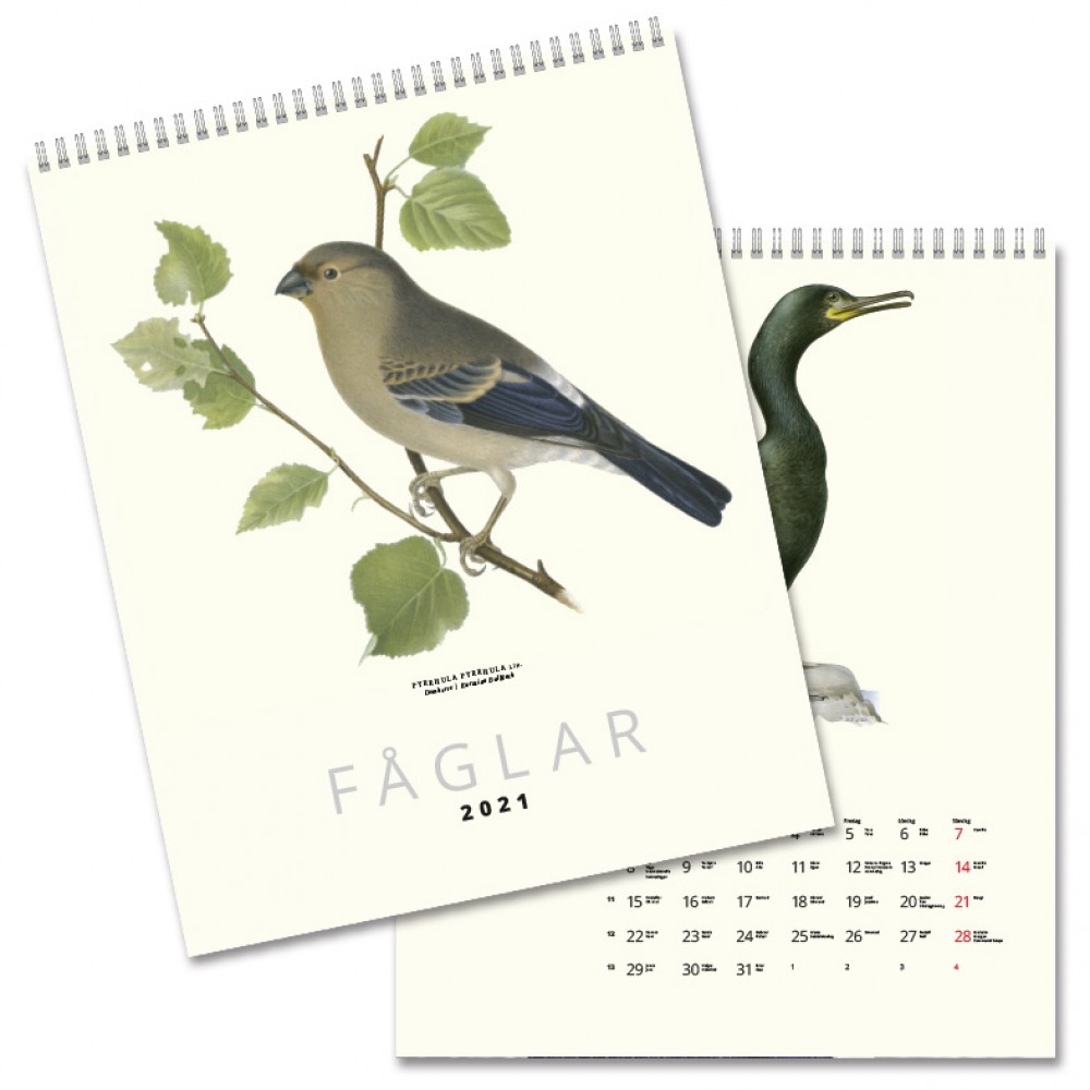 Kop Kalender Faglar 2021 Med Snabb Leverans Kartbutiken Se kalender 2021 köp