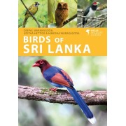 Birds of Sri Lanka