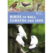 Birds of Bali, Sumatra and Java