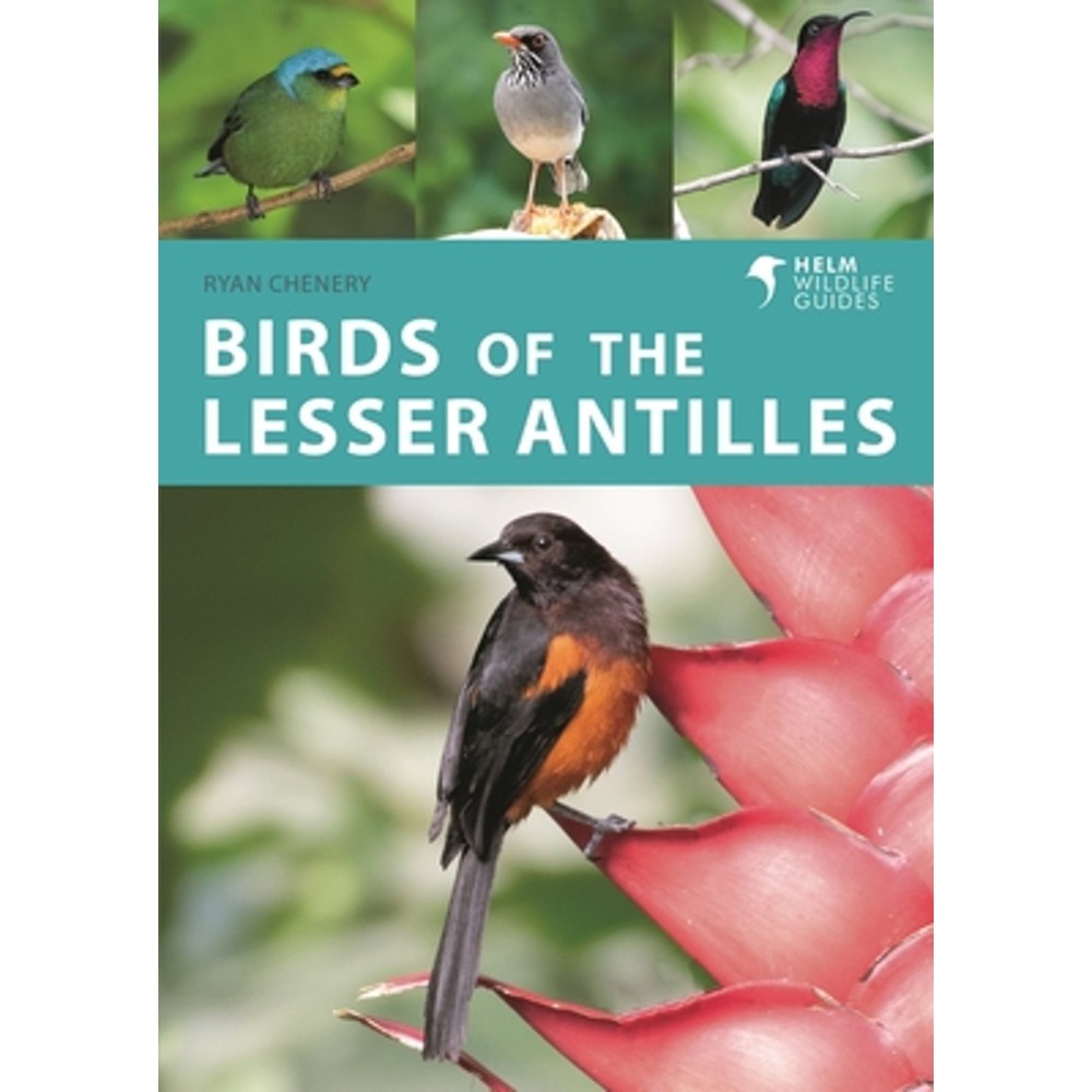 Birds of Lesser Antilles