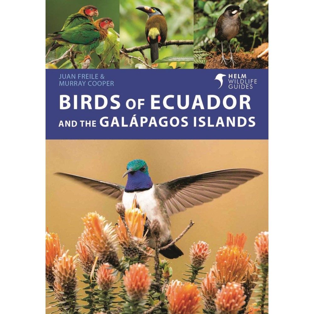 Ecuador and Galapagos Rough Guides