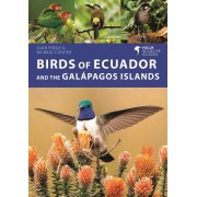 Birds of Ecuador and the Galapagos Island