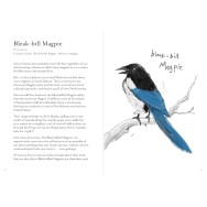 A Dumb Birds Field guide to the Worst Birds Ever
