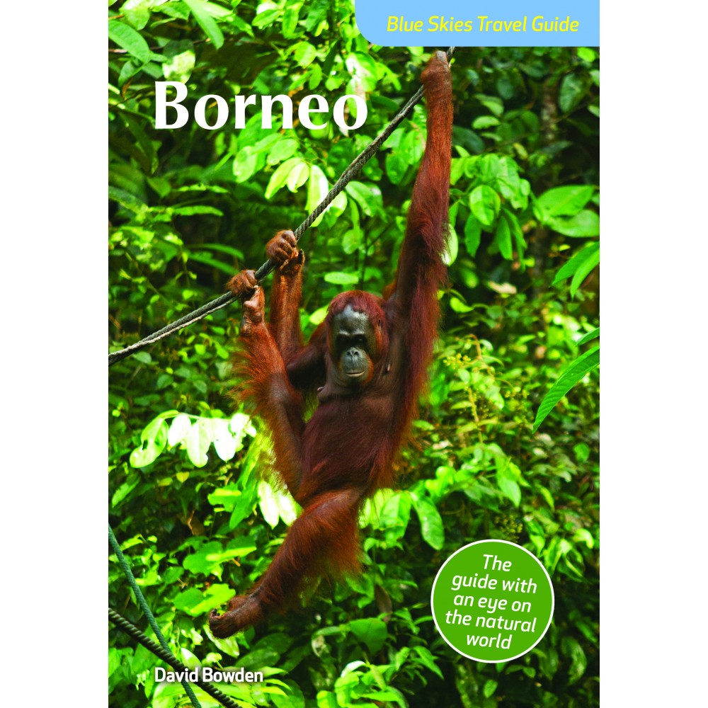 Borneo Blue Skies Travel Guide