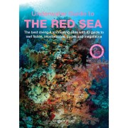 Underwater Guide to the Red Sea