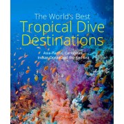 The World's Best Tropical Dive Destinations