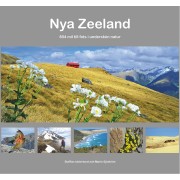 Nya Zeeland 804 mil till fots i underskön natur