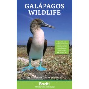 Galapagos Wildlife Bradt