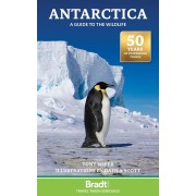 Antarctica A Guide to the Wildlife Bradt