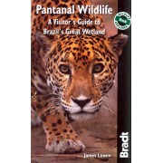 Pantanal Wildlife Bradt