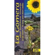 La Gomera and Southern Tenerife Sunflower