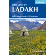 Trekking in Ladakh