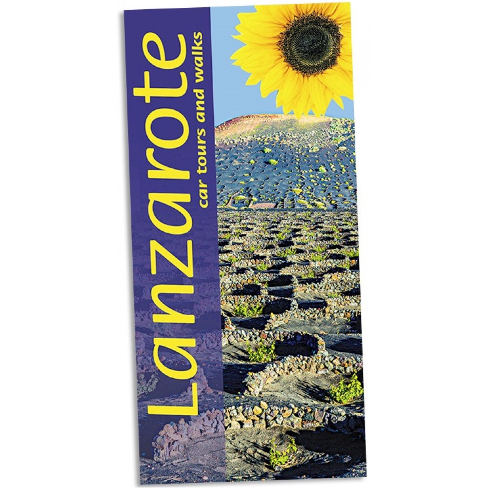 Lanzarote Sunflower