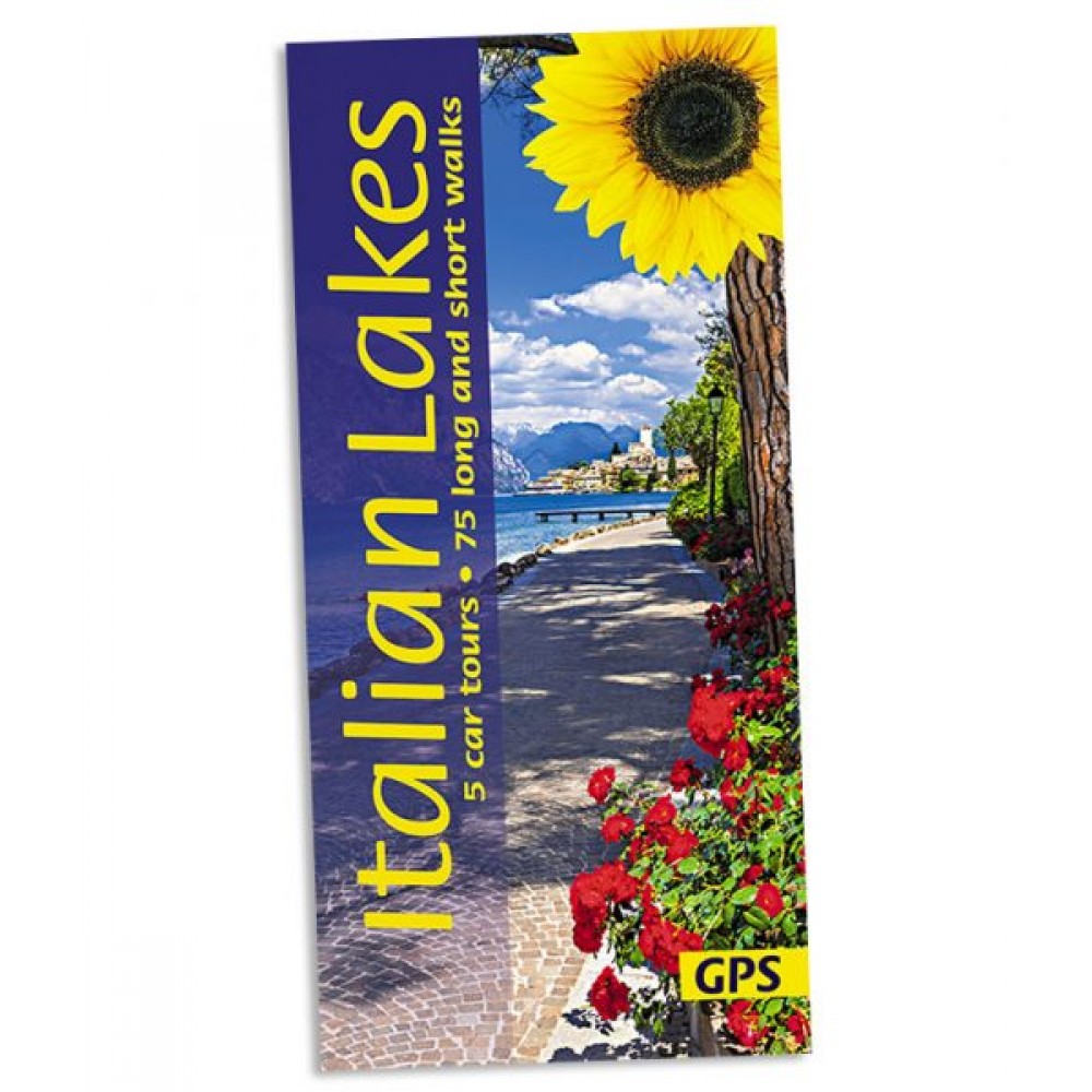 Italian Lakes Sunflower