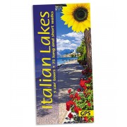 Italian Lakes Sunflower