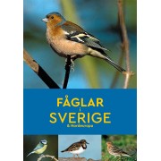 Fåglar i Sverige & Nordeuropa