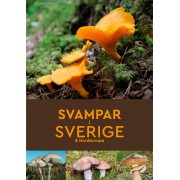 Svampar i Sverige & Nordeuropa