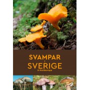 Svampar i Sverige & Nordeuropa