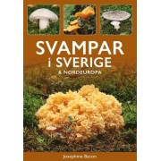 Svampar i Sverige & Nordeuropa