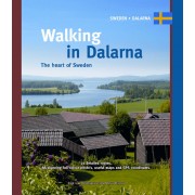 Walking in Dalarna