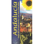 Andalucia and Costa del Sol Sunflower