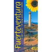 Fuerteventura Sunflower