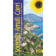 Sorrento and the Amalfi Coast Sunflower