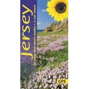 Jersey Sunflower