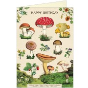 Happy Birthday Mushrooms Greeting Card