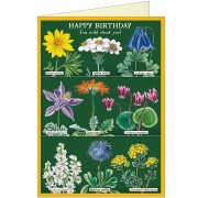 Happy Birthday Wildflowers Greeting Card