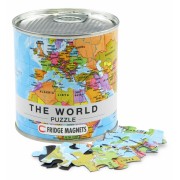 The World Magnetic Puzzle