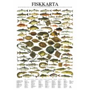 Fiskposter