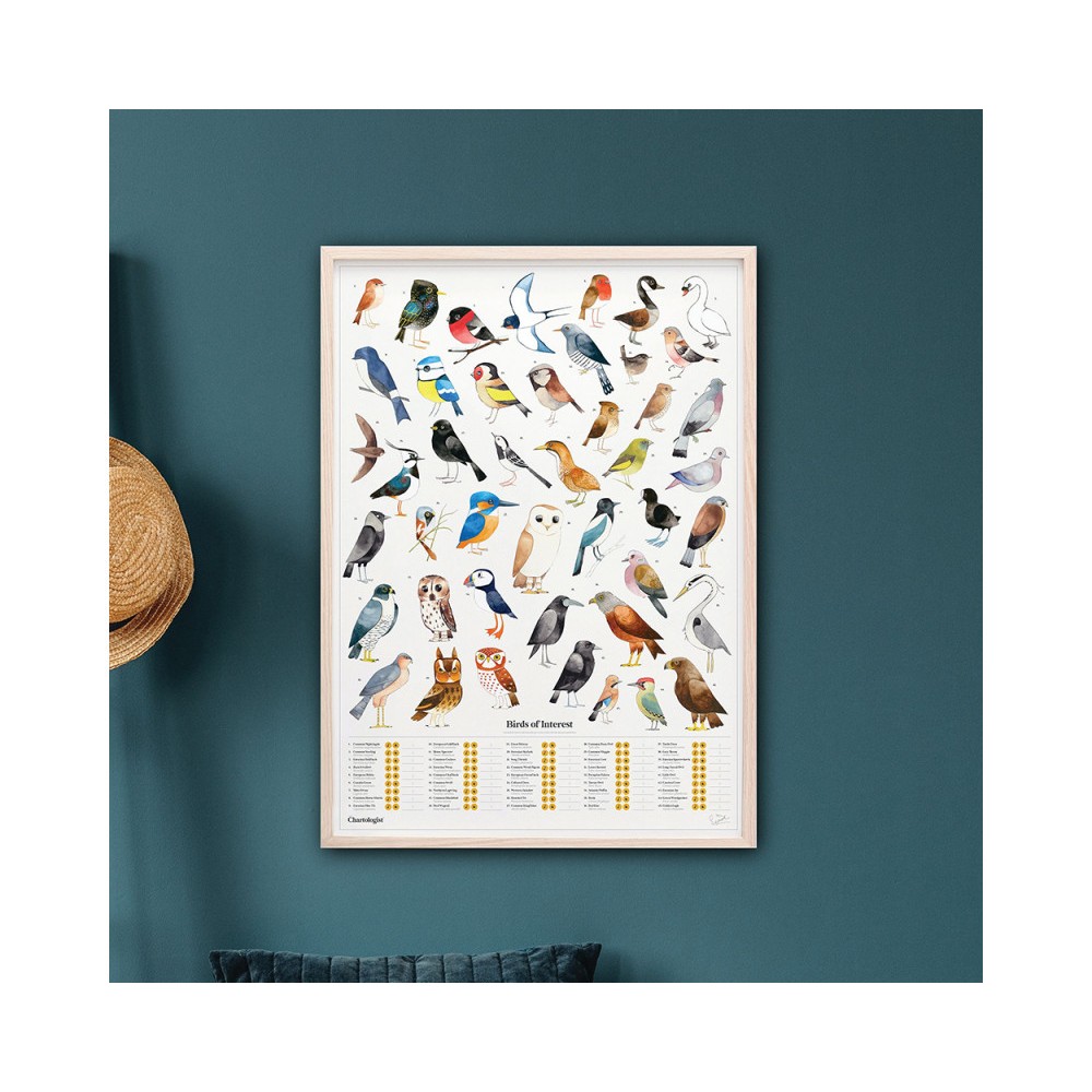 Scratch Garden Birds Poster