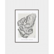 Galdhöpiggen poster Altitud Fjelltopp