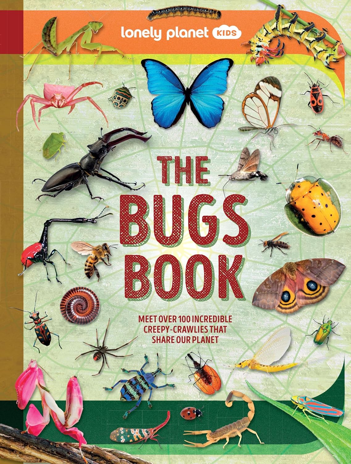 The Bugs Book Lonely Planet Kids