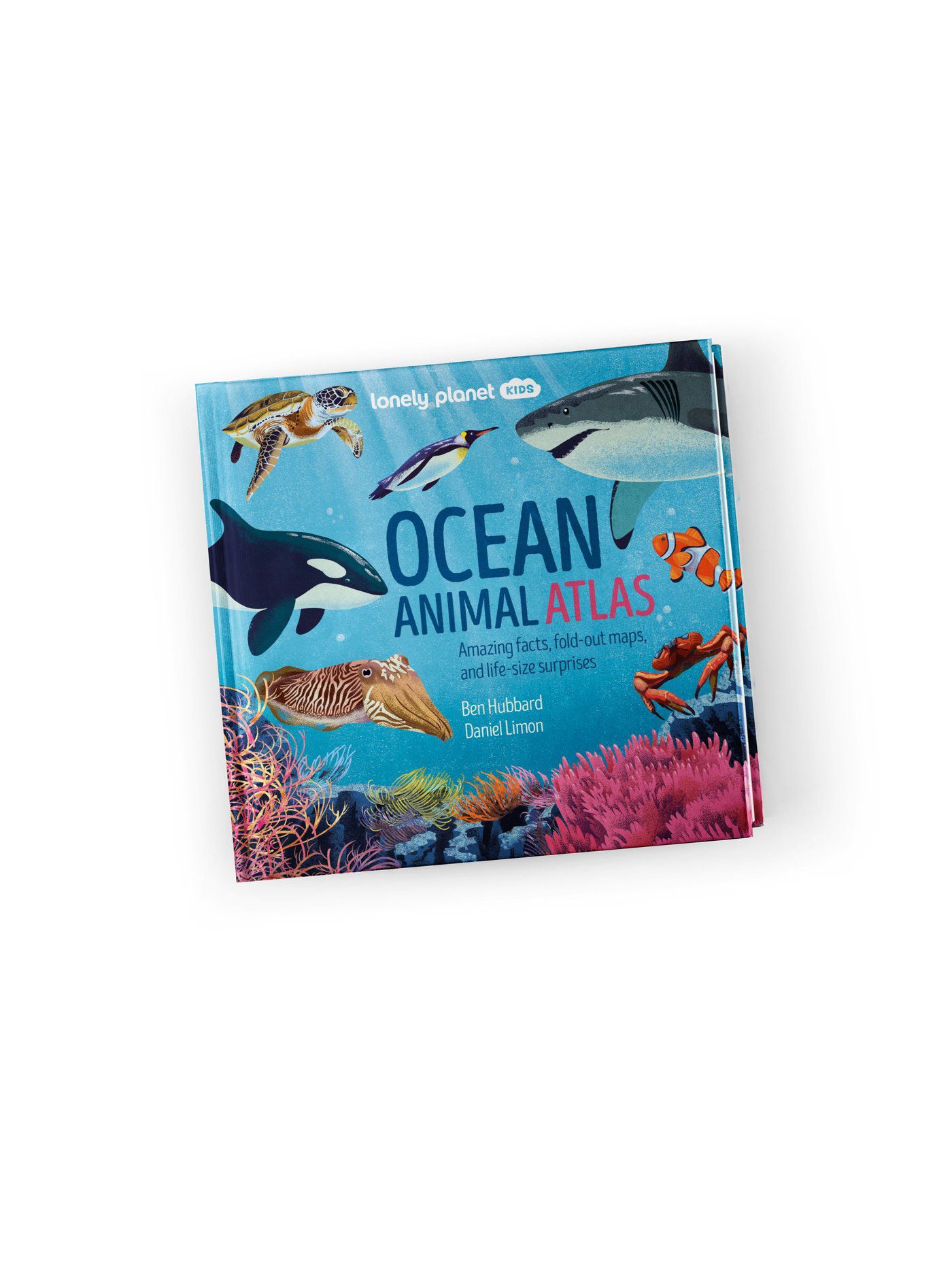 Ocean Animal Atlas Lonely Planet Kids