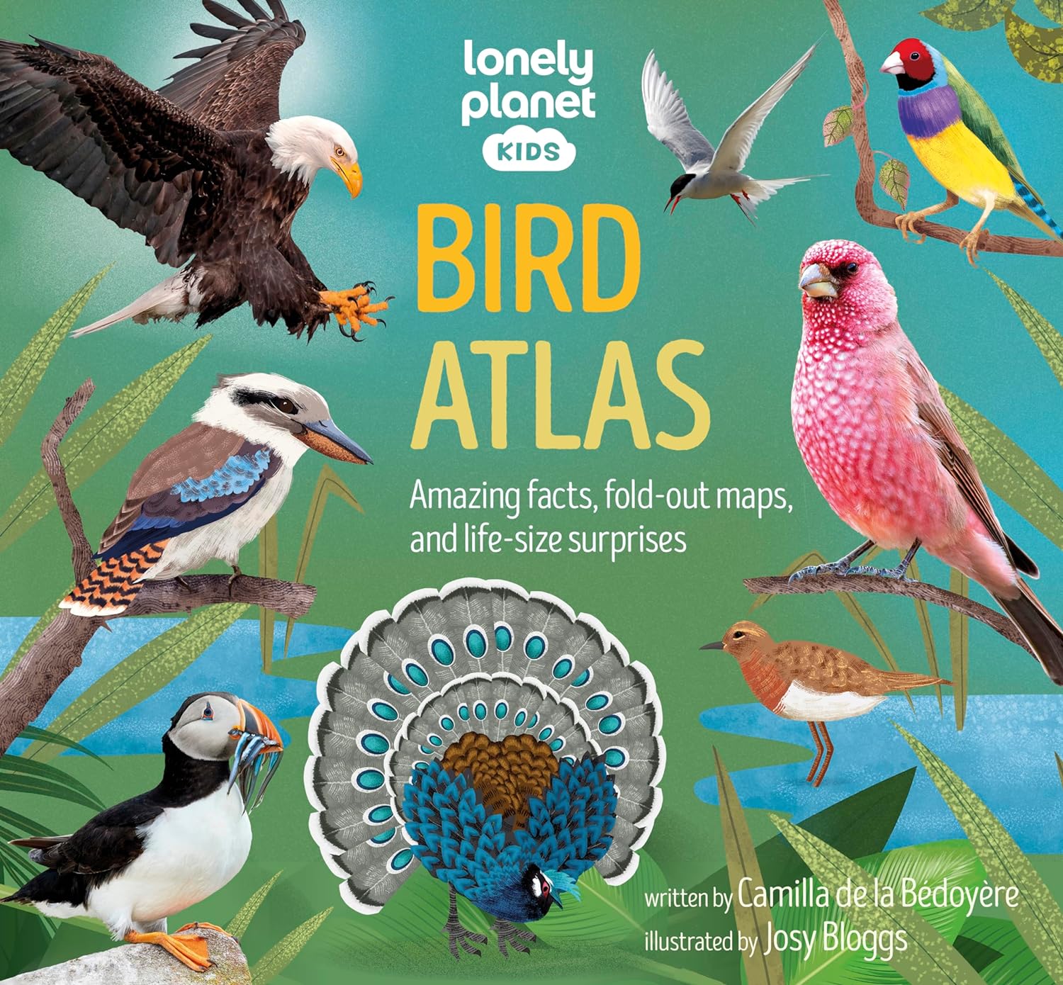 Bird Atlas Lonely Planet Kids