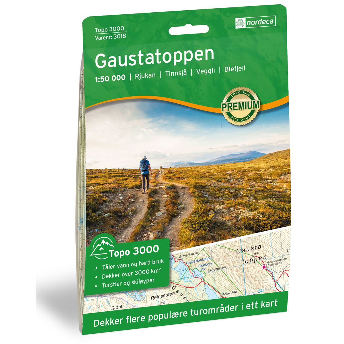 Gaustatoppen Topo 3000