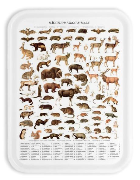 Bricka Däggdjur