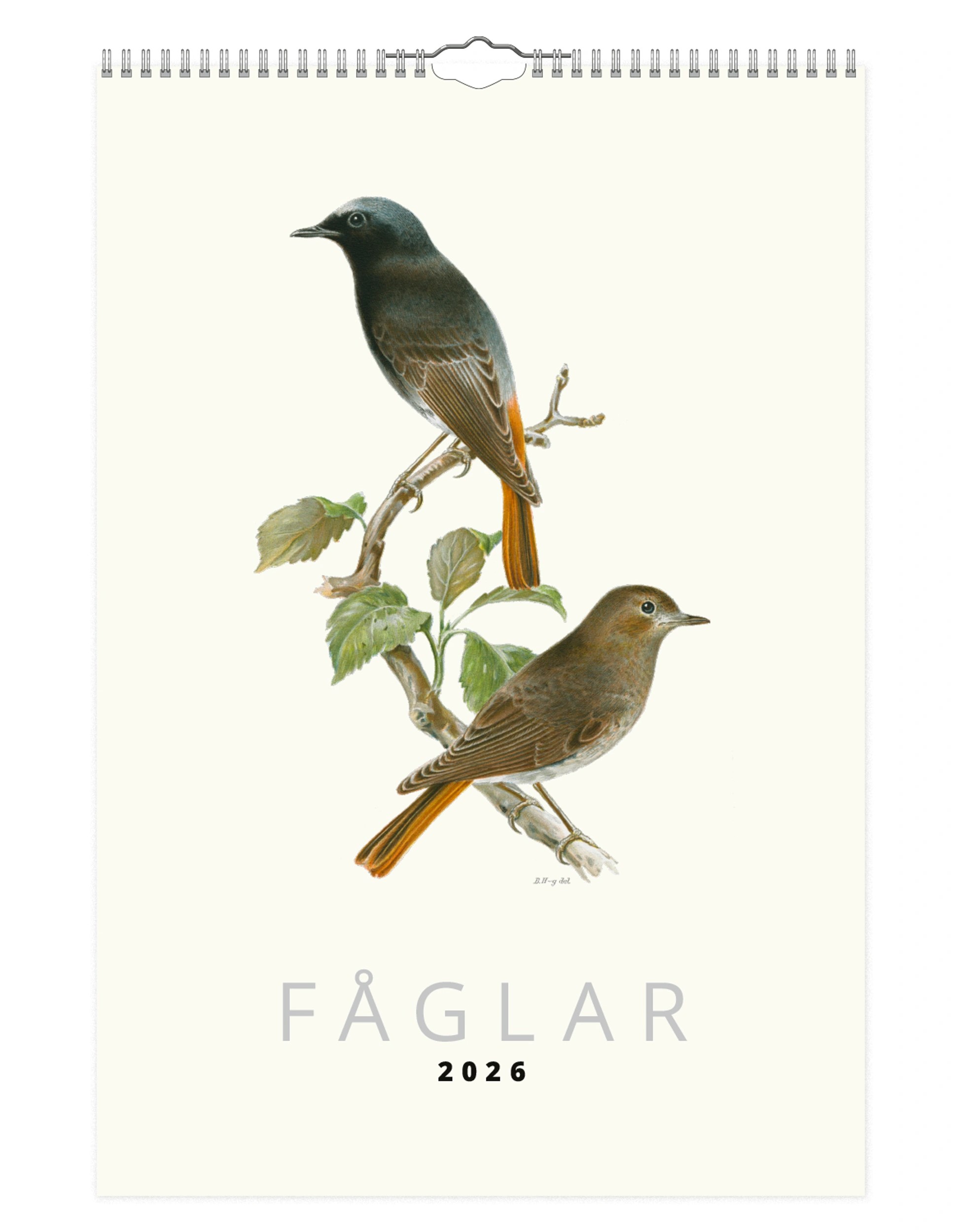 Kalender Fåglar 2026 almanacka