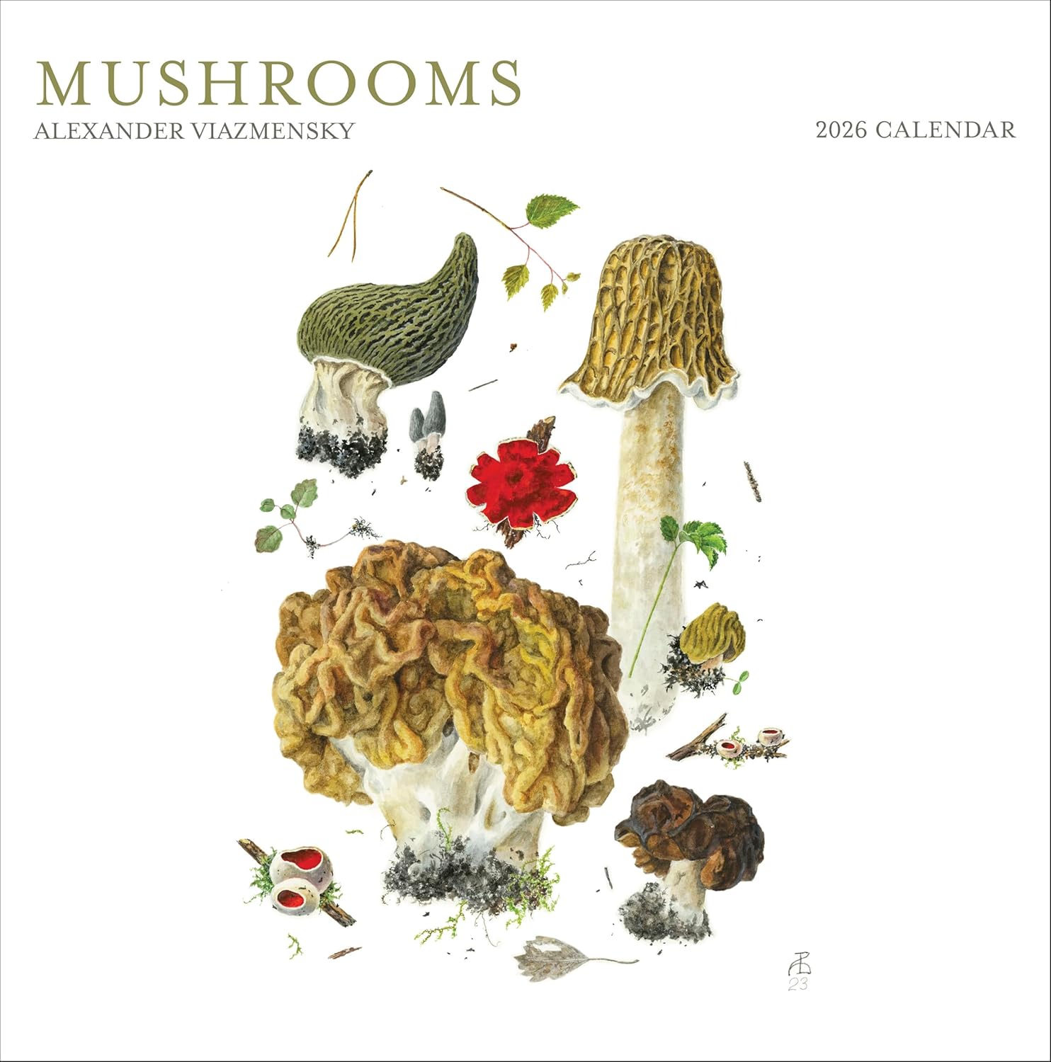 Mushrooms 2026 Wall Calender