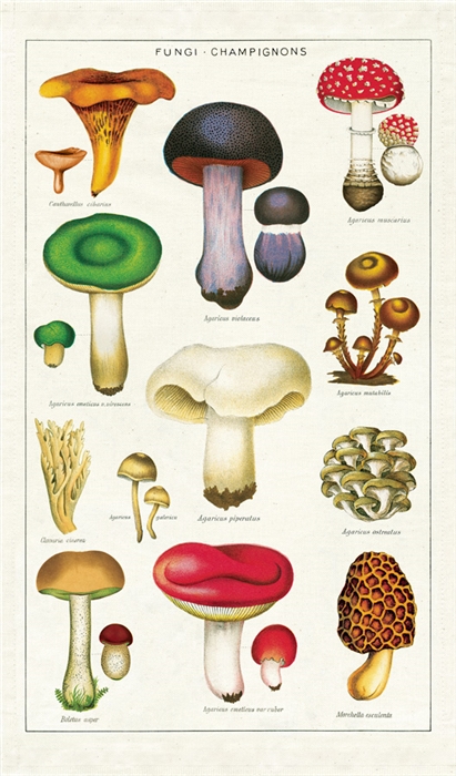 Mushrooms Vintage Tea Towel, Kökshandduk